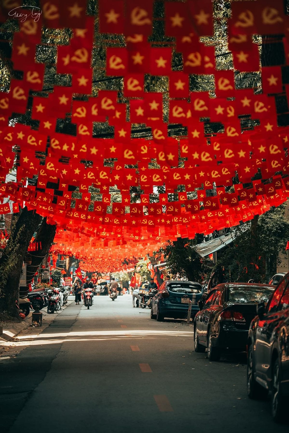 Con phố Hà Nội rực đỏ cờ hoa dịp Tết